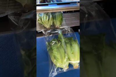 Automatic flow pack machine for packaging fruits and vegetables horizontally.